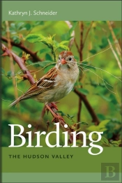 Birding The Hudson Valley