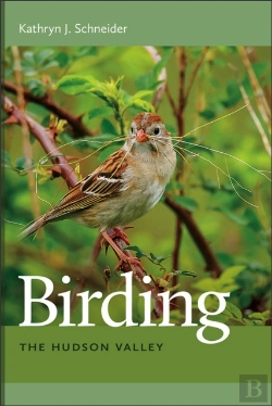 Bertrand.pt - Birding The Hudson Valley