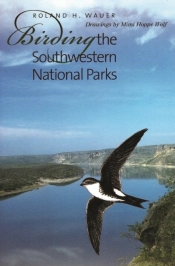 Birding The Southwestern National Parks