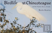 Birdlife At Chincoteague And The Virginia Barrier Islands