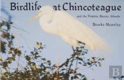 Bertrand.pt - Birdlife At Chincoteague And The Virginia Barrier Islands