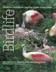 Birdlife Of Houston, Galveston, And The Upper Texas Coast