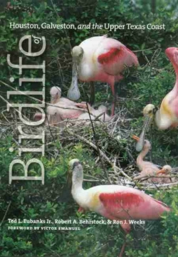 Bertrand.pt - Birdlife Of Houston, Galveston, And The Upper Texas Coast