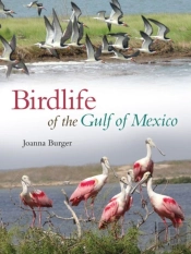 Birdlife Of The Gulf Of Mexico