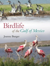 Birdlife Of The Gulf Of Mexico