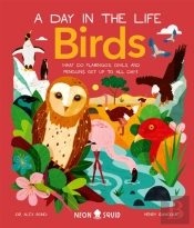 Birds (A Day In The Life)