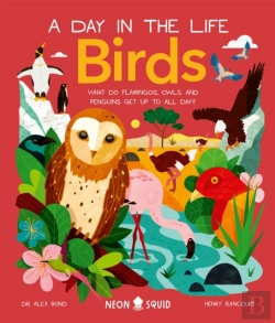 Bertrand.pt - Birds (A Day In The Life)