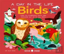 Birds (A Day In The Life)