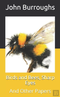 Bertrand.pt - Birds And Bees, Sharp Eyes