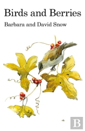 Birds And Berries