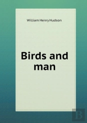 Birds And Man
