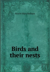 Birds And Their Nests