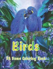 Birds At Home Coloring Book