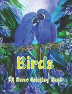 Bertrand.pt - Birds At Home Coloring Book