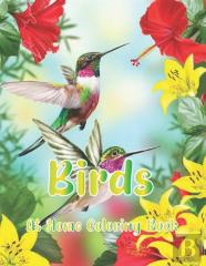 Birds At Home Coloring Book