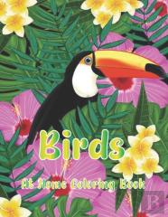 Birds At Home Coloring Book