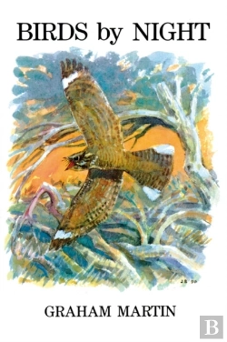 Bertrand.pt - Birds By Night