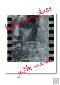 Bertrand.pt - Birds Carve Glass