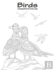 Birds Coloring Book For Grown-Ups 1