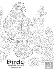 Birds Coloring Book For Grown-Ups 2