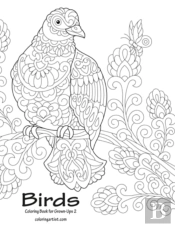 Birds Coloring Book For Grown-Ups 2