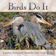 Birds Do It