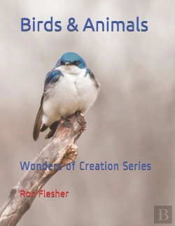 Bertrand.pt - Birds & Animals