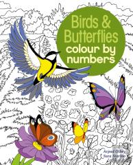 Birds & Butterflies Colour By Numbers