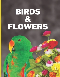 Bertrand.pt - Birds & Flowers
