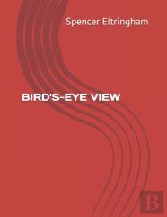 Bird'S-Eye View