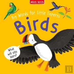 Bertrand.pt - Birds