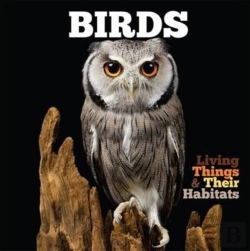 Bertrand.pt - Birds