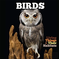 Bertrand.pt - Birds