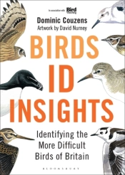 Birds: Id Insights