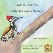Birds In Ethiopia