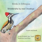 Birds In Ethiopia
