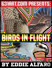 Birds In Flight