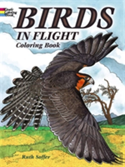 Bertrand.pt - Birds In Flight Coloring Book