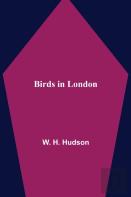 Birds In London