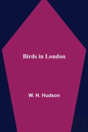 Birds In London