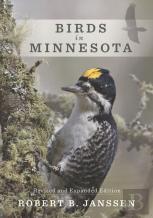 Birds In Minnesota