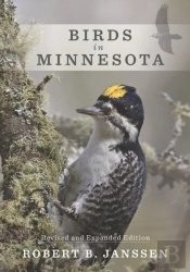 Birds In Minnesota