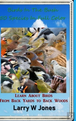 Bertrand.pt - Birds In The Bush - 50 Species In Full Color