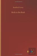 Birds In The Bush
