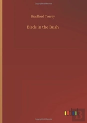 Birds In The Bush