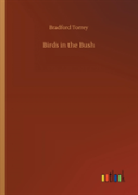 Birds In The Bush