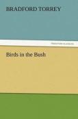 Birds In The Bush