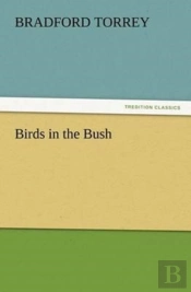 Birds In The Bush