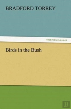 Bertrand.pt - Birds In The Bush