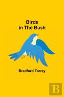 Birds In The Bush
